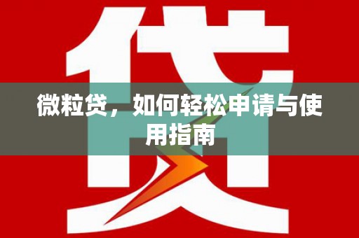原州微粒贷，如何轻松申请与使用指南